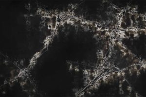 Ice Black by Compac®